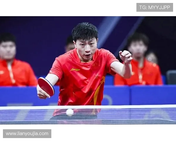 武汉乒乓球队实力深度解析与各队员对比分析