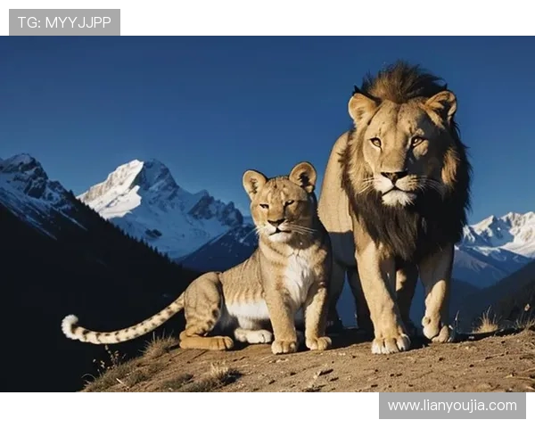 印度与马来西亚的较量：文化碰撞与经济合作的双重视角